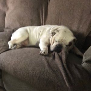 Meet your Posher, Terry